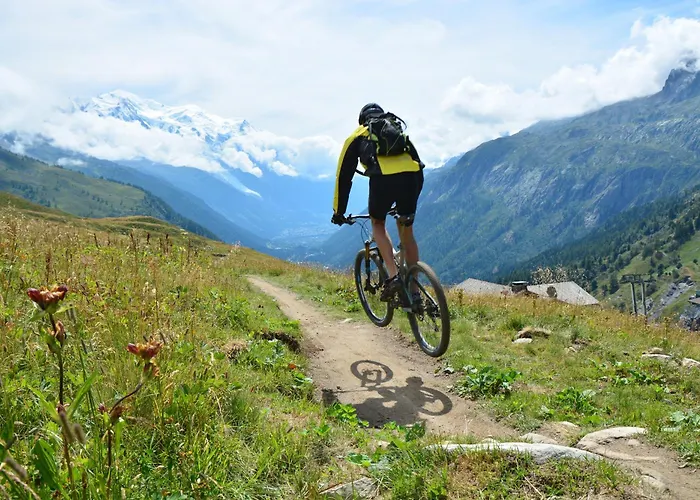 Le Chardonnet D - Happy